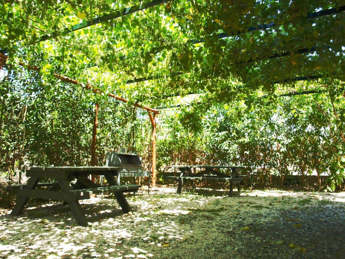 The White Rabbit Guesthouse Eco-Lodge "Cosy Apartment" Psakoudia Exterior foto